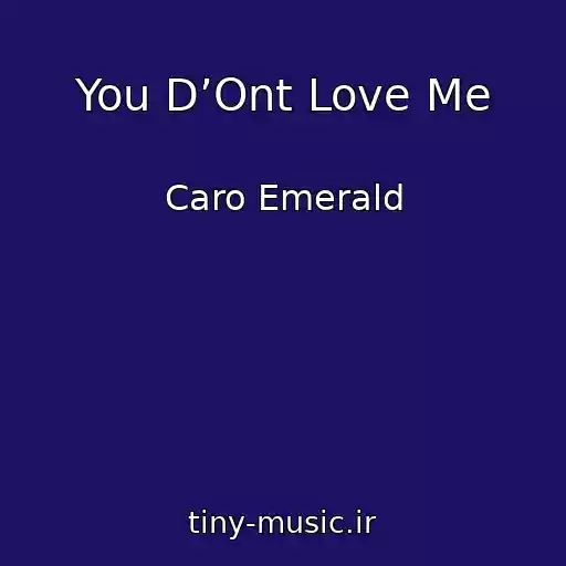 کاور آهنگ You D’Ont Love Me از Caro Emerald