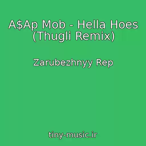 کاور آهنگ A$Ap Mob - Hella Hoes (Thugli Remix) از Zarubezhnyy Rep