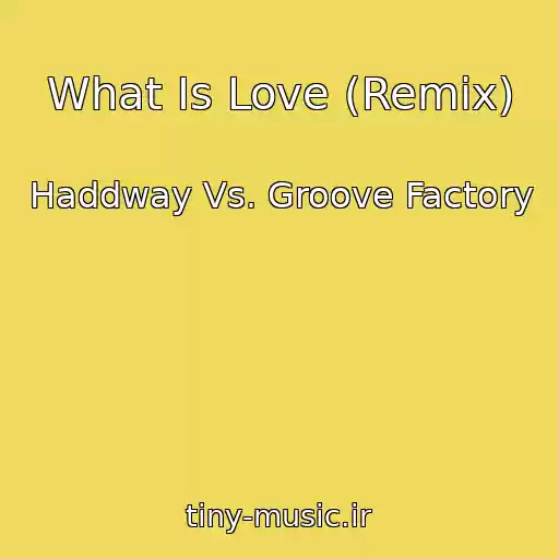 کاور آهنگ What Is Love (Remix) از Haddway Vs. Groove Factory