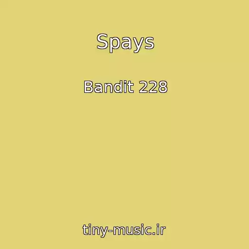 کاور آهنگ Spays از Bandit 228