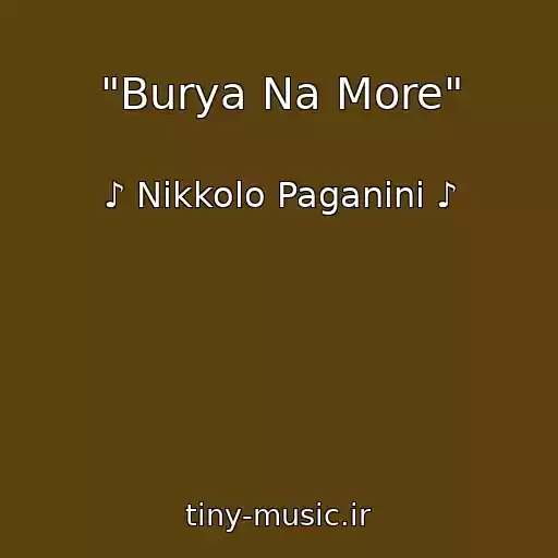 کاور آهنگ "Burya Na More" از ♪ Nikkolo Paganini ♪