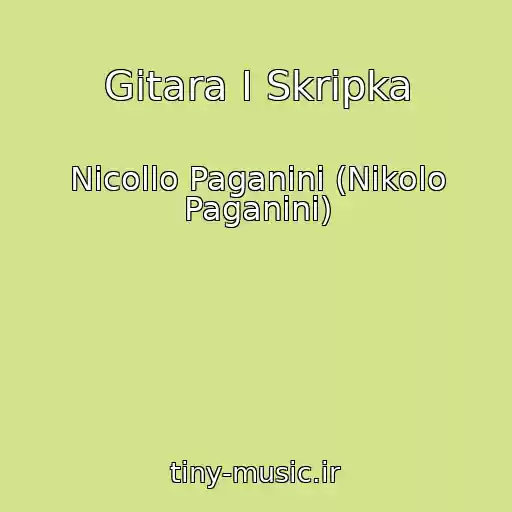 کاور آهنگ Gitara I Skripka از Nicollo Paganini (Nikolo Paganini)
