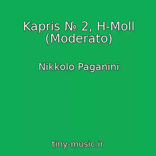 کاور آهنگ Kapris № 2, H-Moll (Moderato) از Nikkolo Paganini