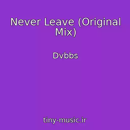 کاور آهنگ Never Leave (Original Mix) از Dvbbs