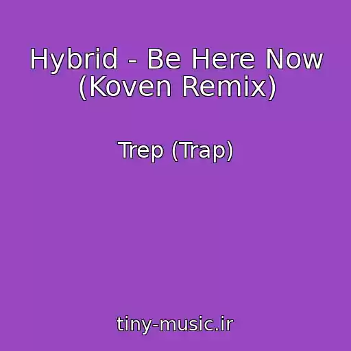 کاور آهنگ Hybrid - Be Here Now (Koven Remix) از Trep (Trap)