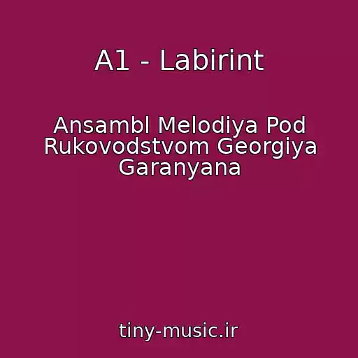 کاور آهنگ A1 - Labirint از Ansambl Melodiya Pod Rukovodstvom Georgiya Garanyana