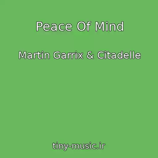 کاور آهنگ Peace Of Mind از Martin Garrix & Citadelle