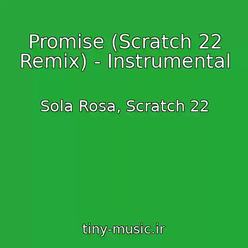 کاور آهنگ Promise (Scratch 22 Remix) - Instrumental از Sola Rosa, Scratch 22