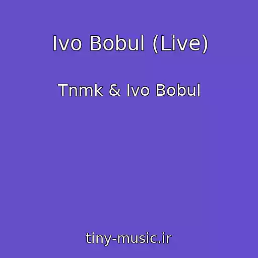 کاور آهنگ Іvo Bobul (Live) از Tnmk & Іvo Bobul