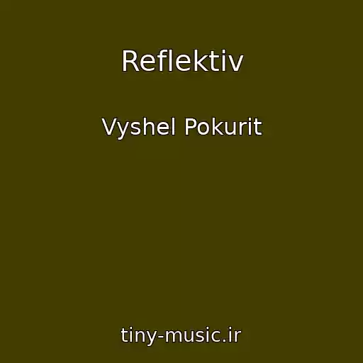کاور آهنگ Reflektiv از Vyshel Pokurit