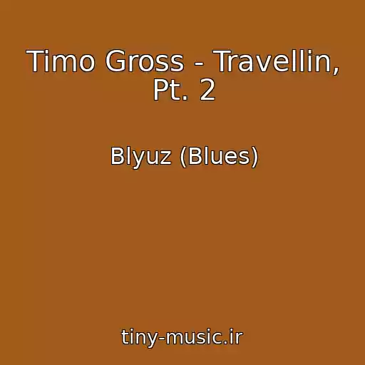 کاور آهنگ Timo Gross - Travellin, Pt. 2 از Blyuz (Blues)