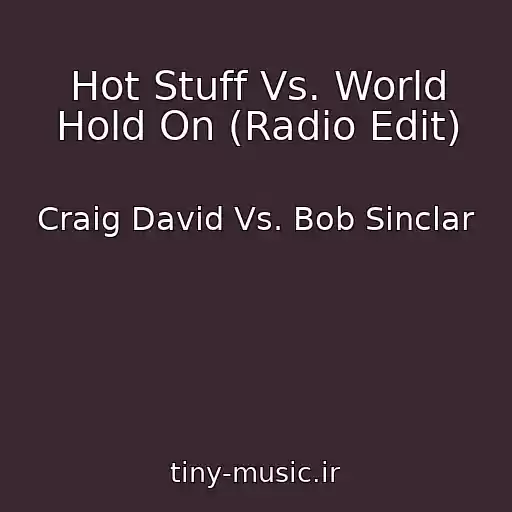 کاور آهنگ Hot Stuff Vs. World Hold On (Radio Edit) از Craig David Vs. Bob Sinclar