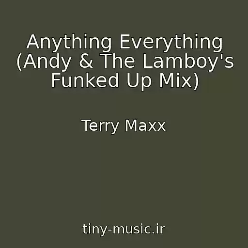 کاور آهنگ Anything Everything (Andy & The Lamboy's Funked Up Mix) از Terry Maxx