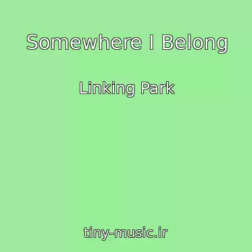 کاور آهنگ Somewhere I Belong از Linking Park