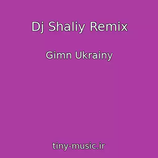کاور آهنگ Dj Shaliy Remix از Gimn Ukrainy