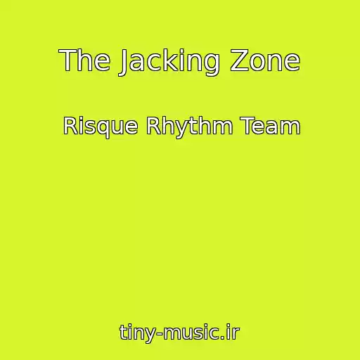 کاور آهنگ The Jacking Zone از Risque Rhythm Team