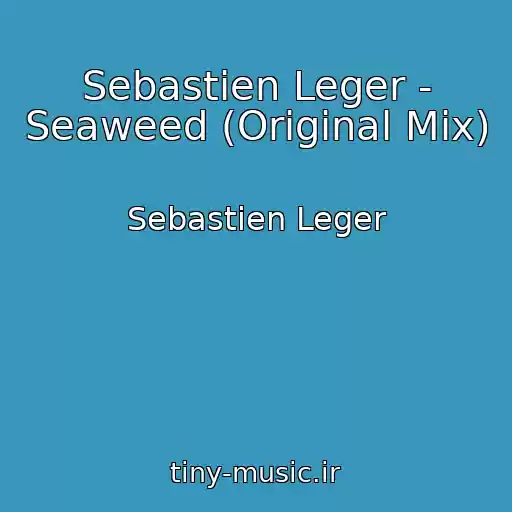 کاور آهنگ Sebastien Leger - Seaweed (Original Mix) از Sebastien Leger