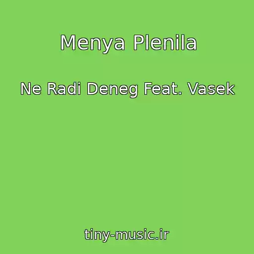 کاور آهنگ Menya Plenila از Ne Radi Deneg Feat. Vasek