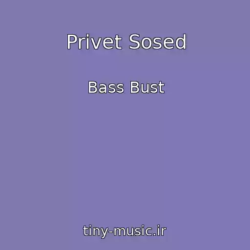 کاور آهنگ Privet Sosed از Bass Bust