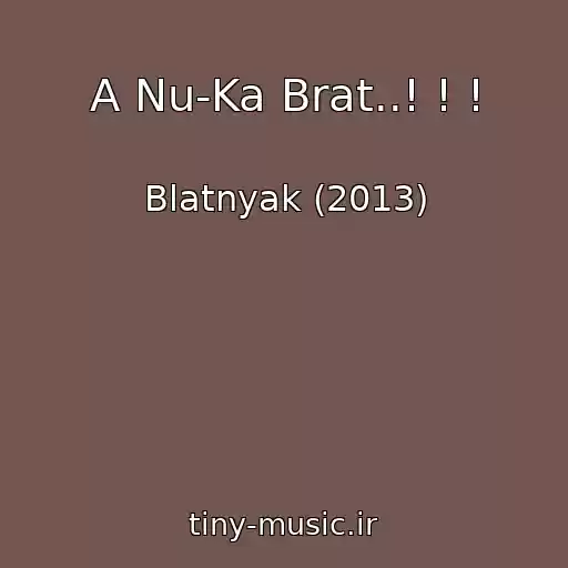 کاور آهنگ A Nu-Ka Brat..! ! ! از Blatnyak (2013)