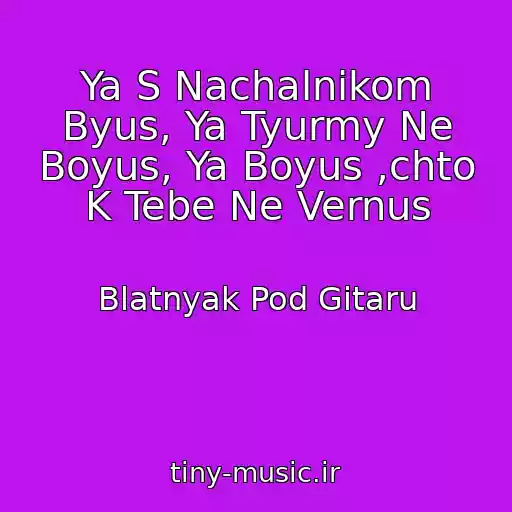 کاور آهنگ Ya S Nachalnikom Byus, Ya Tyurmy Ne Boyus, Ya Boyus ,chto K Tebe Ne Vernus از Blatnyak Pod Gitaru
