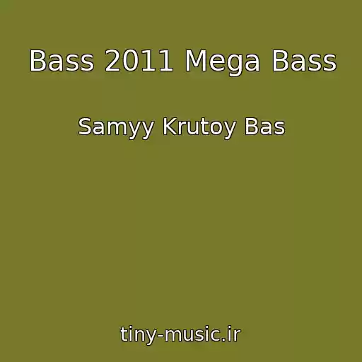کاور آهنگ Bass 2011 Mega Bass از Samyy Krutoy Bas