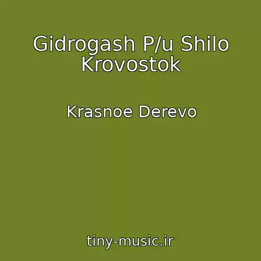 کاور آهنگ Gidrogash P/u Shilo Krovostok از Krasnoe Derevo