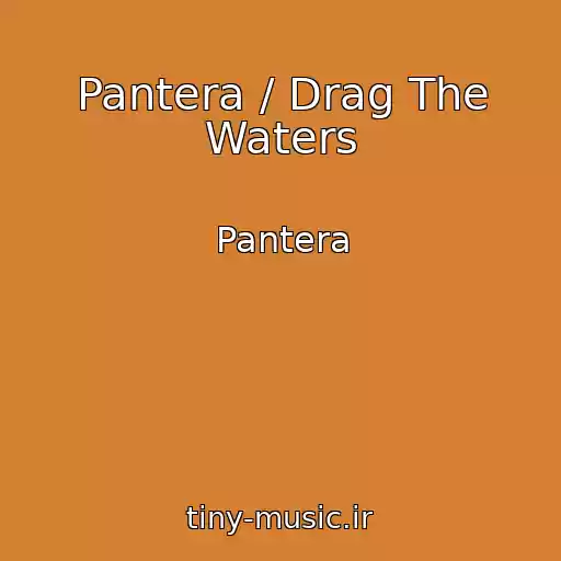 کاور آهنگ Pantera / Drag The Waters از Pantera