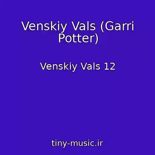 کاور آهنگ Venskiy Vals (Garri Potter) از Venskiy Vals 12