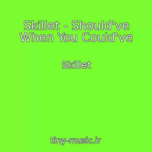 کاور آهنگ Skillet - Should've When You Could've از Skillet