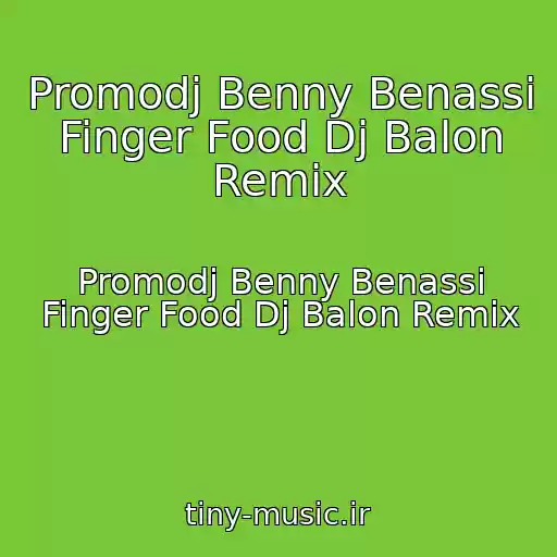 کاور آهنگ Promodj Benny Benassi Finger Food Dj Balon Remix از Promodj Benny Benassi Finger Food Dj Balon Remix