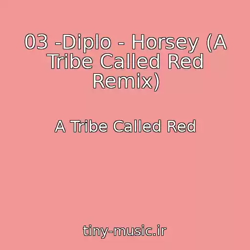 کاور آهنگ 03 -Diplo - Horsey (A Tribe Called Red Remix) از A Tribe Called Red