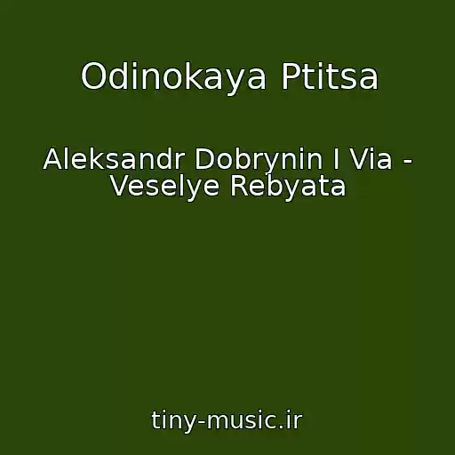 کاور آهنگ Odinokaya Ptitsa از Aleksandr Dobrynin I Via - Veselye Rebyata