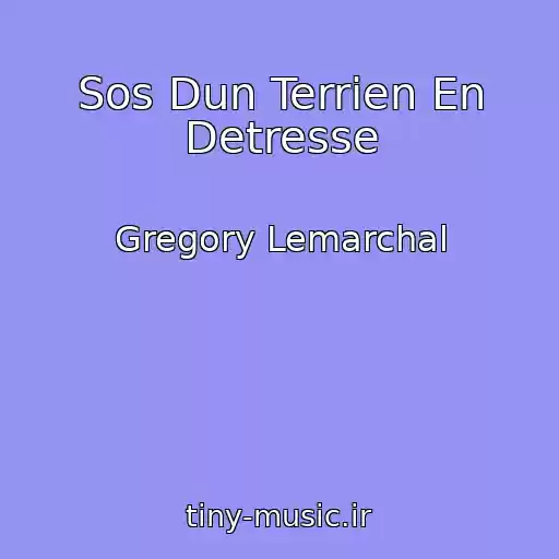 کاور آهنگ Sos Dun Terrien En Detresse از Gregory Lemarchal