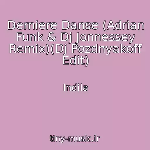 کاور آهنگ Derniere Danse (Adrian Funk & Dj Jonnessey Remix)(Dj Pozdnyakoff Edit) از Indila
