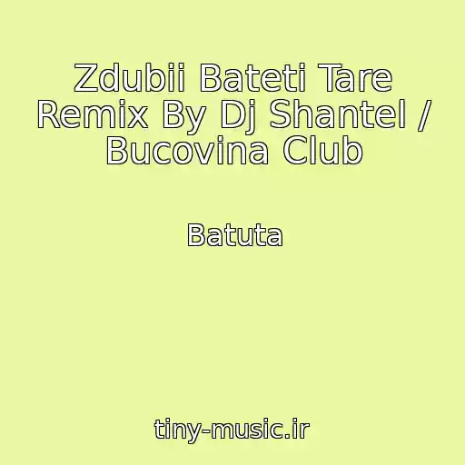 کاور آهنگ Zdubii Bateti Tare Remix By Dj Shantel / Bucovina Club از Batuta