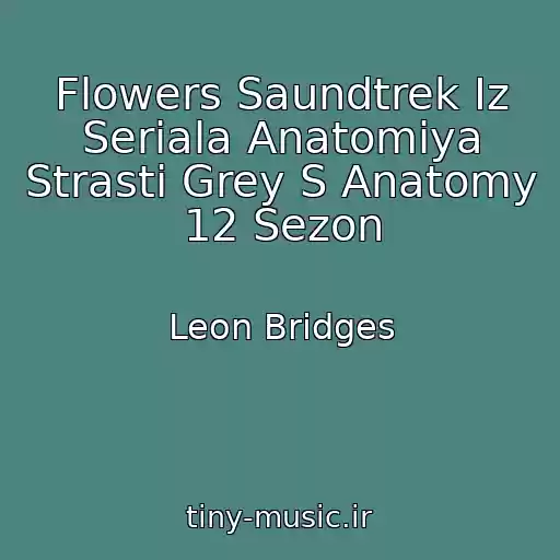 کاور آهنگ Flowers Saundtrek Iz Seriala Anatomiya Strasti Grey S Anatomy 12 Sezon از Leon Bridges