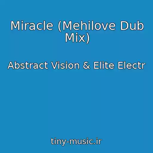 کاور آهنگ Miracle (Mehilove Dub Mix) از Abstract Vision & Elite Electr