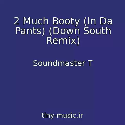 کاور آهنگ 2 Much Booty (In Da Pants) (Down South Remix) از Soundmaster T