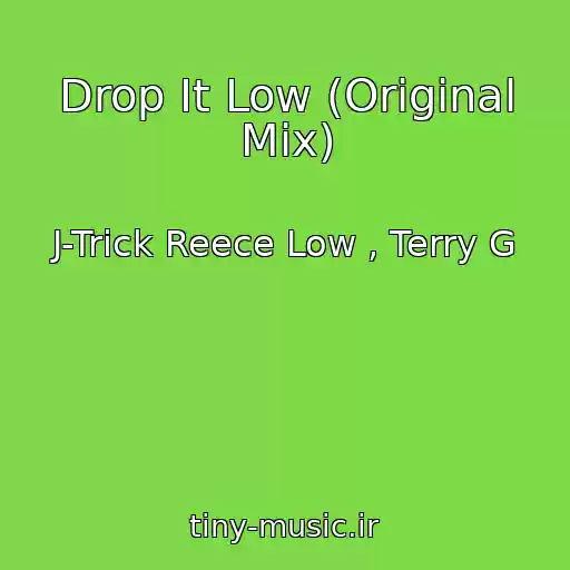 کاور آهنگ Drop It Low (Original Mix) از J-Trick Reece Low , Terry G