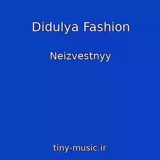 کاور آهنگ Didulya Fashion از Neizvestnyy