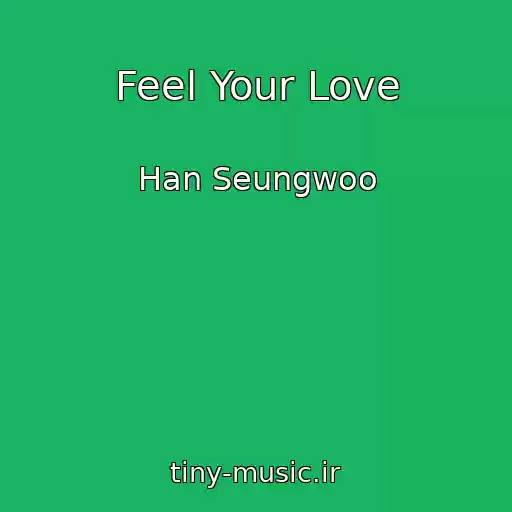 کاور آهنگ Feel Your Love از Han Seungwoo