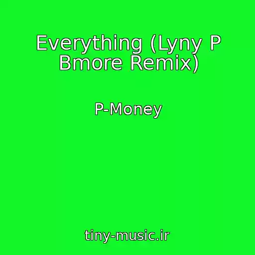 کاور آهنگ Everything (Lyny P Bmore Remix) از P-Money