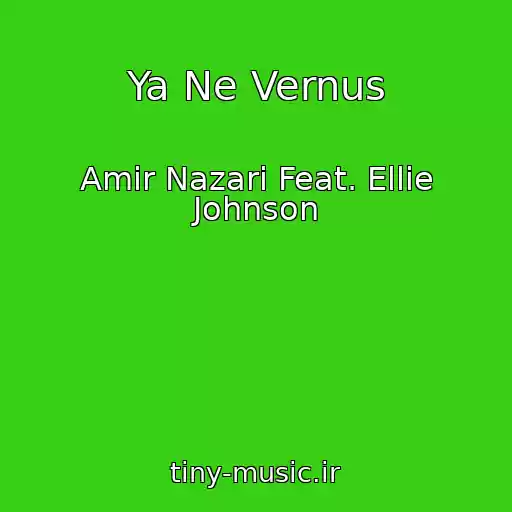 کاور آهنگ Ya Ne Vernus از Amir Nazari Feat. Ellie Johnson