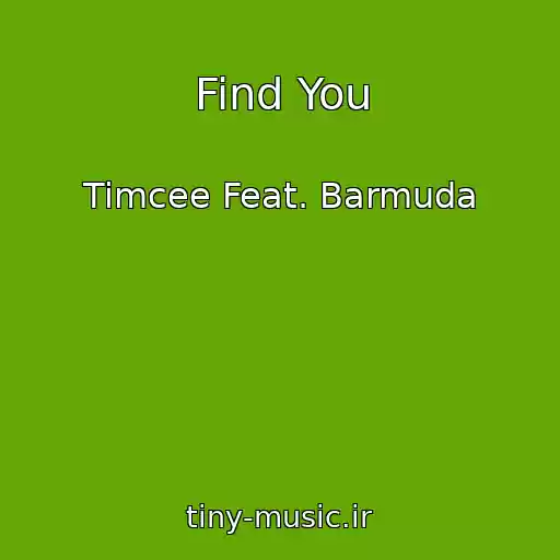 کاور آهنگ Find You از Timcee Feat. Barmuda
