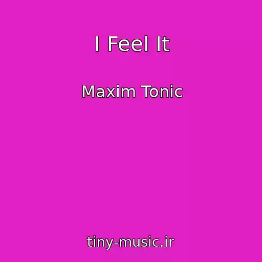 کاور آهنگ I Feel It از Maxim Tonic