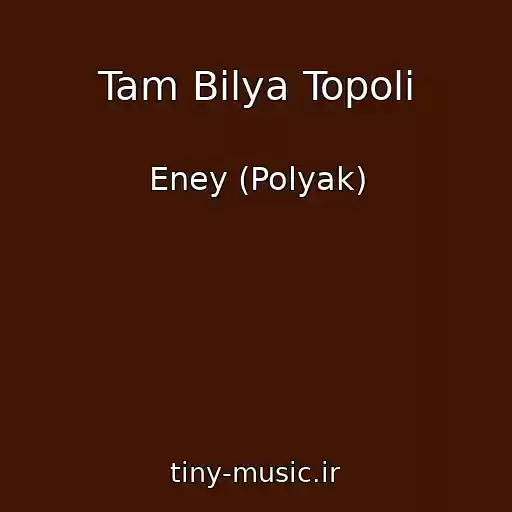 کاور آهنگ Tam Bіlya Topolі از Eney (Polyak)