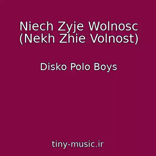 کاور آهنگ Niech Zyje Wolnosc (Nekh Zhie Volnost) از Disko Polo Boys