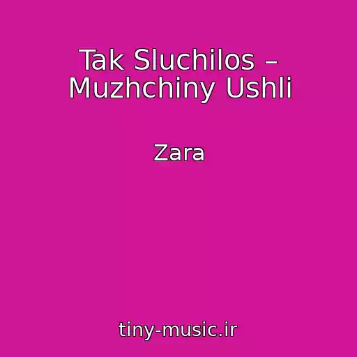 کاور آهنگ Tak Sluchilos – Muzhchiny Ushli از Zara