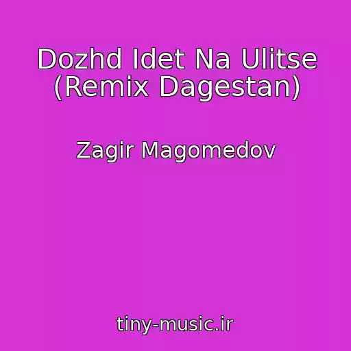 کاور آهنگ Dozhd Idet Na Ulitse (Remix Dagestan) از Zagir Magomedov